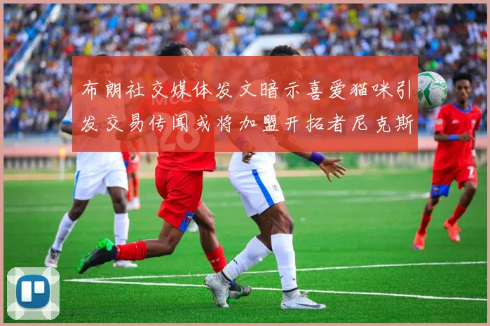 布朗社交媒体发文暗示喜爱猫咪引发交易传闻或将加盟开拓者尼克斯雷霆湖人